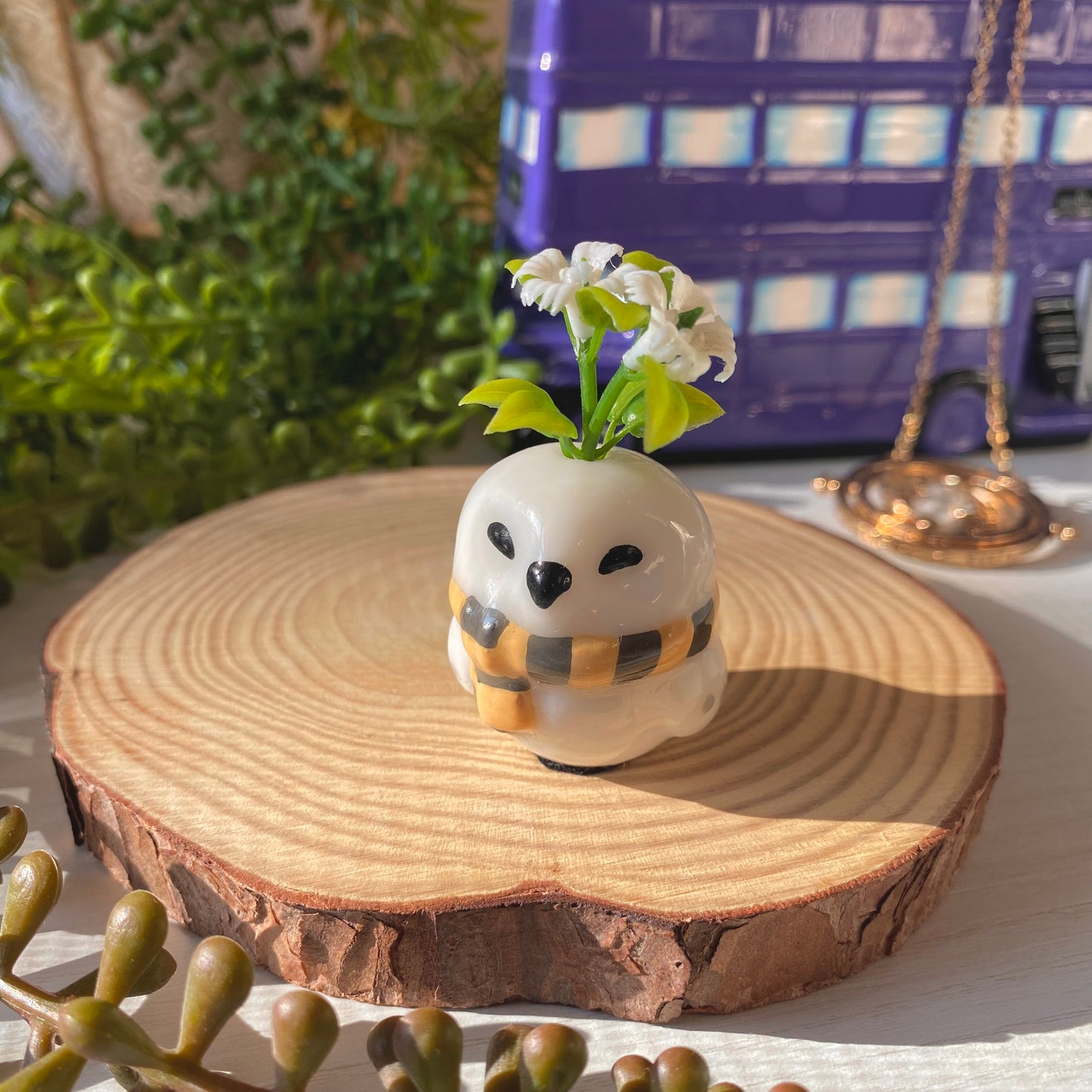 Owl Tiny Pots | Full Collection