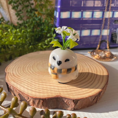 Owl Tiny Pots | Full Collection