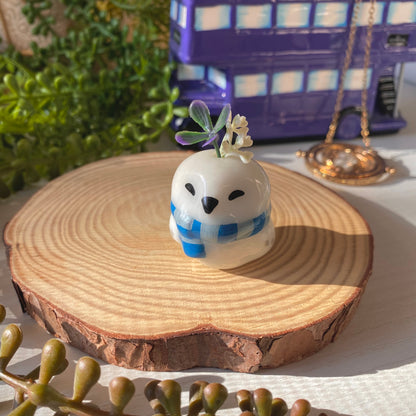 Owl Tiny Pots | Full Collection