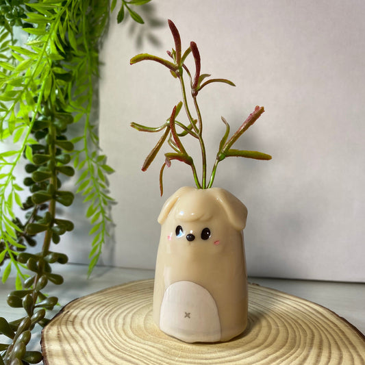 SKZOO – Mini Pots | PuppyM