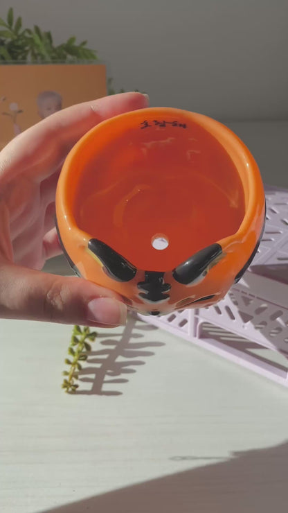 Hoshi-Inspired Tiger Pot